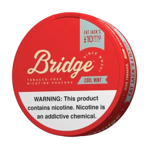 Bridge Cool Mint 10mg