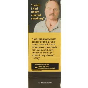 Pall Mall Smooth King 20pk Carton